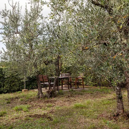Holiday home Belvilla By Oyo Trebbiano