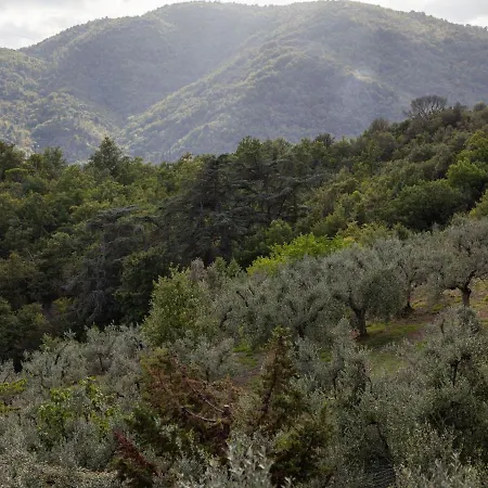 別荘 Rustic Getaway In Tuscan Hills