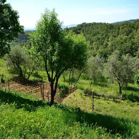 別荘 Rustic Getaway In Tuscan Hills *